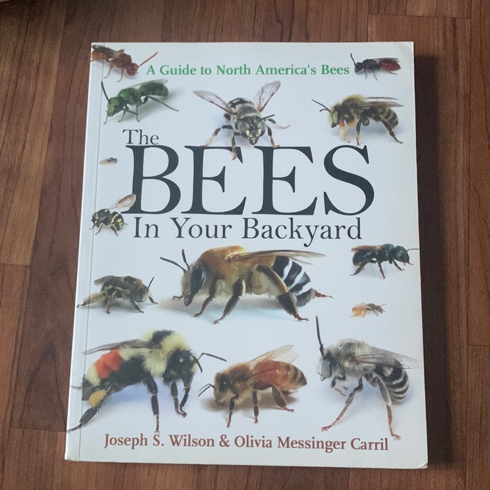 The Bees in your backyard